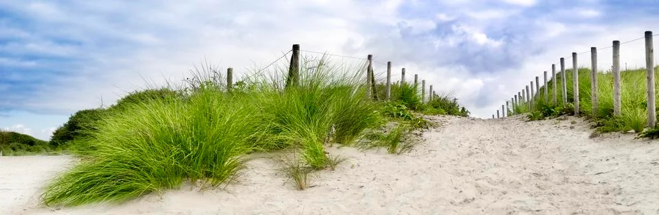 Sand dune path Stock Photos