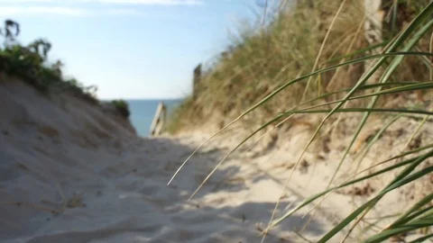 Sand Dune Path With Stairs To The Beach Stock Footage 97169908