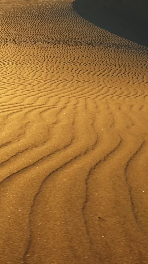 Sand dune with a pattern in the sunset sun rays in a desert. Sand grains Video stock 278606672