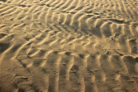 Sand Dune Patterns, Jaisalmer Stock Photos