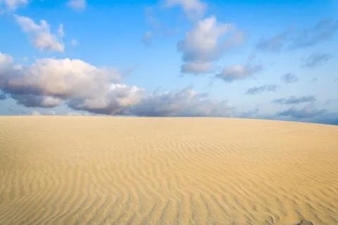 Sand dune Stock Photos