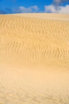 Sand dune Foto stock