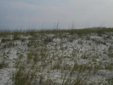 Sand Dune Foto stock