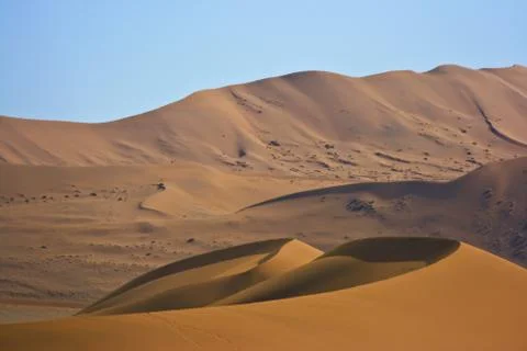 Sand dune Stock Photos