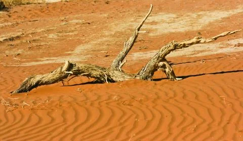 Sand dune Stock Photos