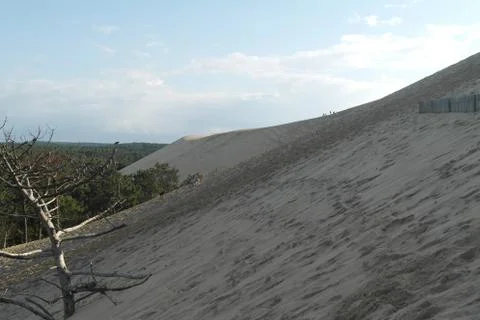 Sand Dune Stock Photos