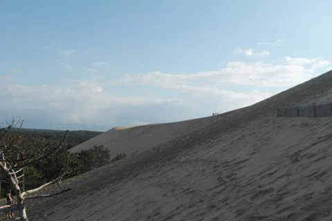 Sand Dune Stock Photos