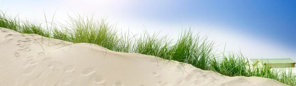 Sand dune Stock Photos