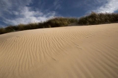 Sand Dune Foto stock