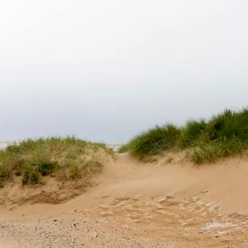 Sand dune Stock Photos