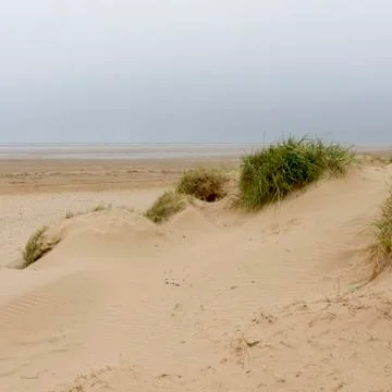 Sand dune Stock Photos