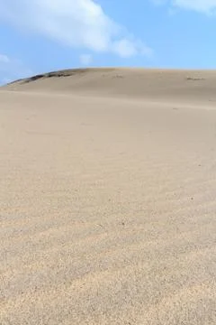Sand Dune Stock Photos