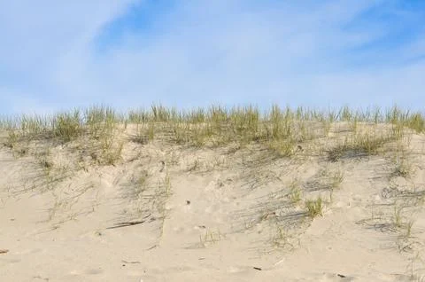 Sand Dune Stock Photos