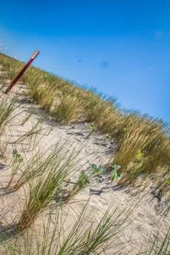 Sand dune Stock Photos