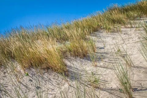Sand dune Stock Photos