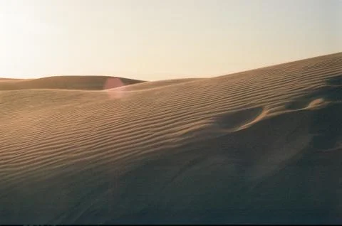 Sand Dune Stock Photos