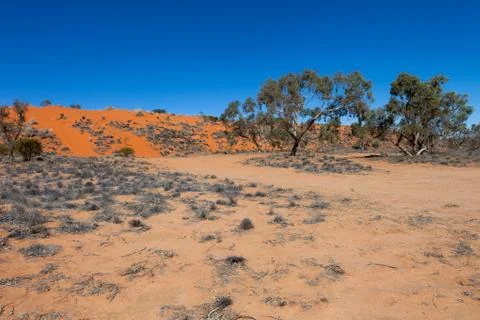 Sand dune Stock Photos