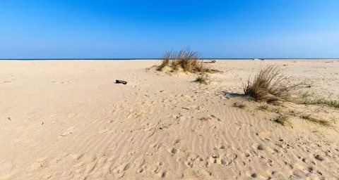 A sand dune Stock Photos
