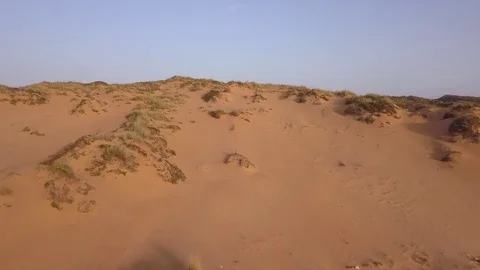 Sand dune revealing a landscape of trees. Stock Footage 79541343