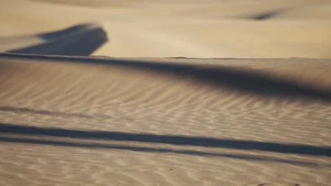 Sand Dune Ripples with Long Shadows, Maspalomas, Gran Canaria Stock Footage 344480674