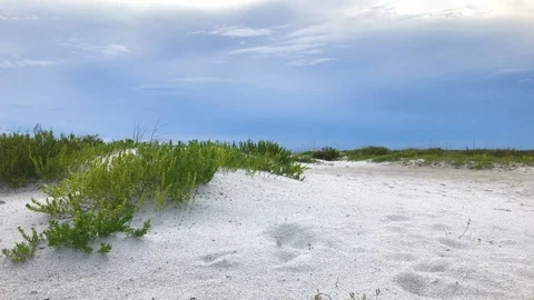 Sand dune Siesta Key Stock Footage 94877488