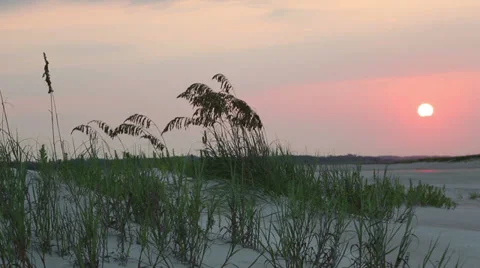 Sand dune sunrise Stock Footage 36953372