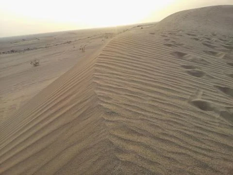 Sand dune at sunset Stock Photos