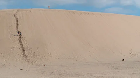 Sand dune surfing Stock Footage 39577900