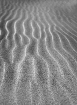 Sand Dune texture blurred. background Foto stock