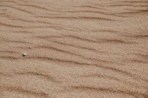 Sand dune texture close-up, can be used for both background and calendars. Stock Photos