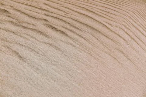 Sand dune texture close-up, can be used for both background and calendars. Stock Photos