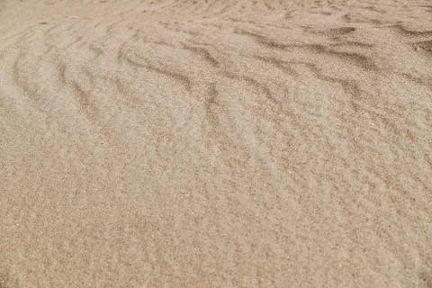 Sand dune texture close-up, can be used for both background and calendars. Stock Photos