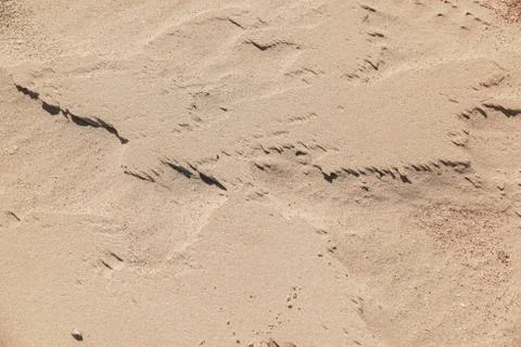 Sand dune texture close-up, can be used for both background and calendars. Stock Photos