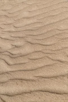 Sand dune texture close-up, can be used for both background and calendars. 库存照片