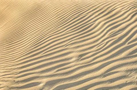 Sand dune texture Stock Photos