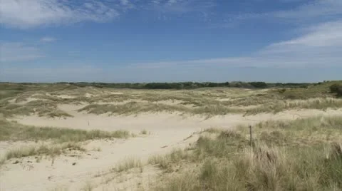 Sand dune valley with marram grass (Ammophila arenaria) Stock Footage 19567330