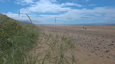 Sand dune view if couple walking on the beach Stock-Footage 202068196
