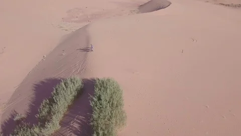 Sand dune walking 12 動画素材 119956459