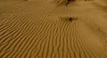 Sand Dunes 01 HD Footage