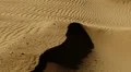 Sand Dunes 02 HD Footage