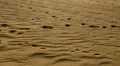 Sand Dunes 05 HD Footage