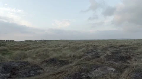 Sand Dunes (2) Stock Footage 44400185