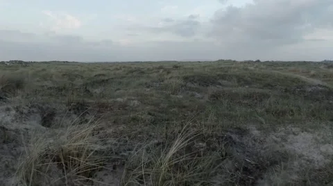 Sand Dunes (4) Stock Footage 44400197