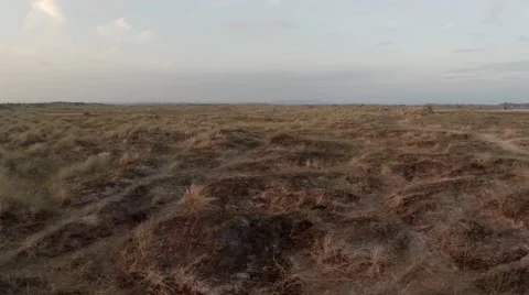 Sand Dunes (5) Stock Footage 44400147