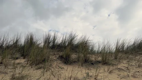 Sand dunes against a dramatic sky Stockbeeldmateriaal 272505525
