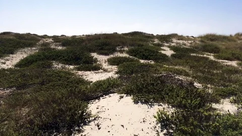 Sand dunes and Beach in Paramos, Espinho - Portugal Vídeo Stock 77697011