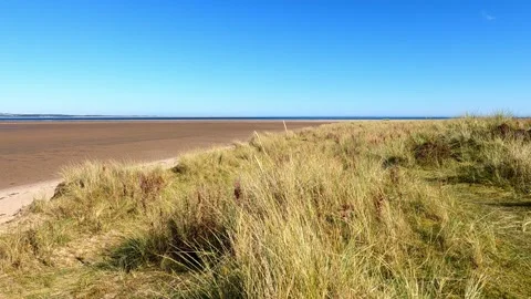 Sand Dunes and Empty Beach at Low Tide Near Tentsmuir, Scotland Stock Footage 328437174