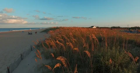 Sand Dunes and Grass at the Beach Vídeos de archivo 79212236