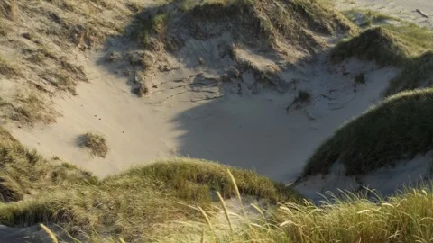 Sand dunes and marram grass blowing in the wind Stock Footage 338087468