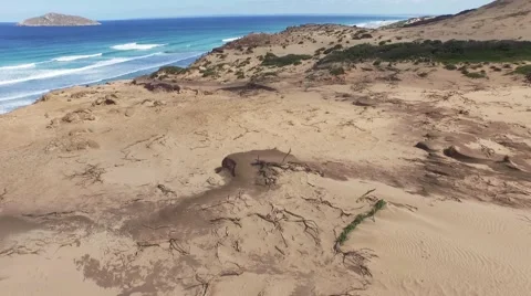 Sand dunes and ocean. Stock Footage 61684603